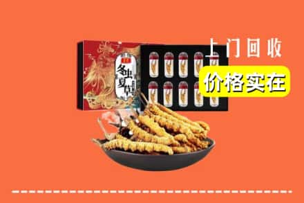 莆田城厢区回收冬虫夏草